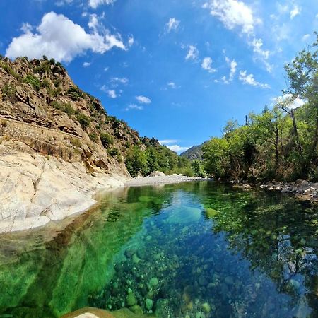 Domaine U Filanciu - Casa Ghjulia - Centru Di Corsica Villa Moltifao Екстериор снимка