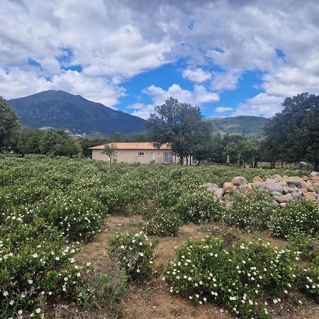Domaine U Filanciu - Casa Ghjulia - Centru Di Corsica Villa Moltifao Екстериор снимка