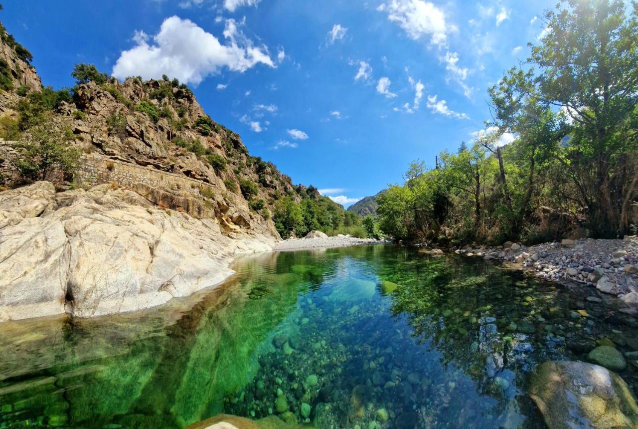 Domaine U Filanciu - Casa Ghjulia - Centru Di Corsica Villa Moltifao Екстериор снимка